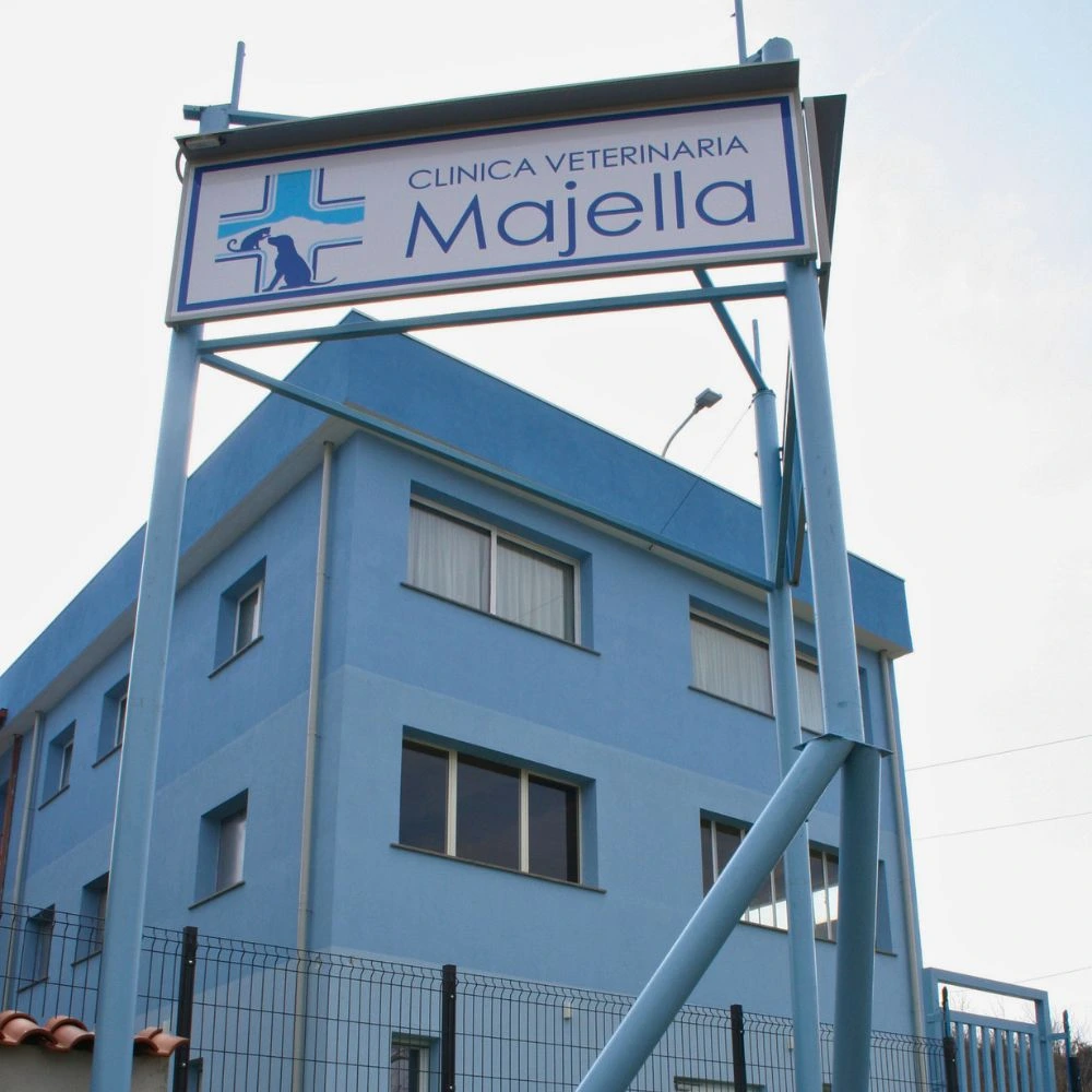 Foto della Clinica