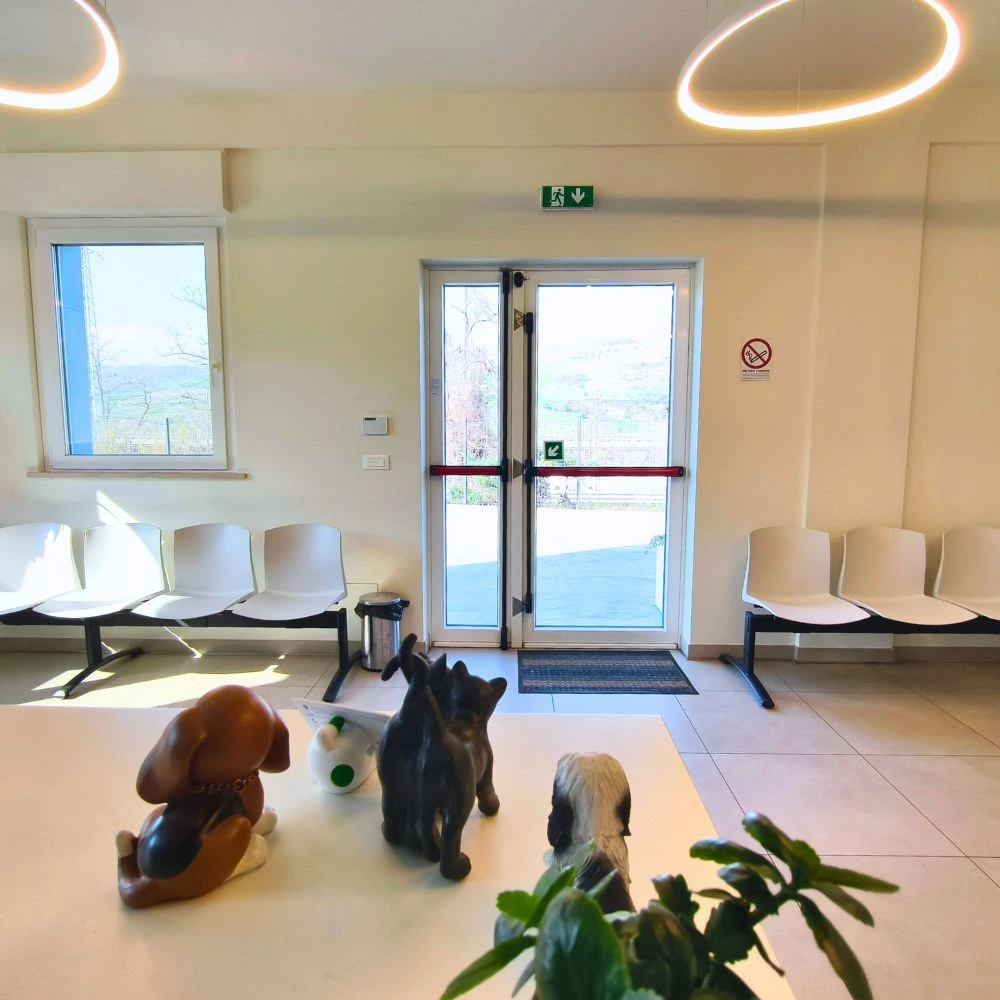 Foto della Clinica