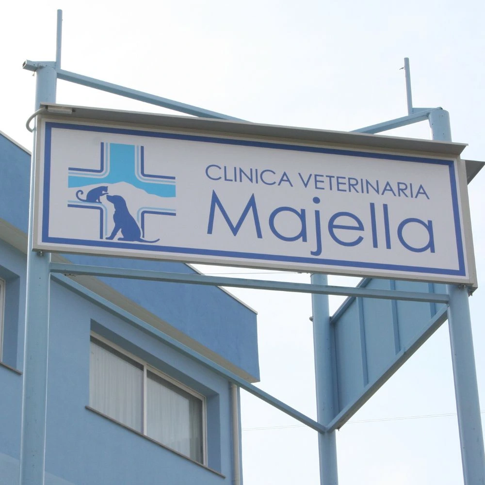 Foto della Clinica